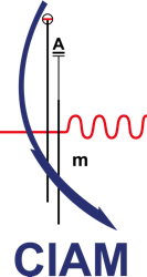 CIAM